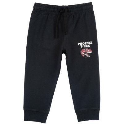 Conjunto Chicco Rex