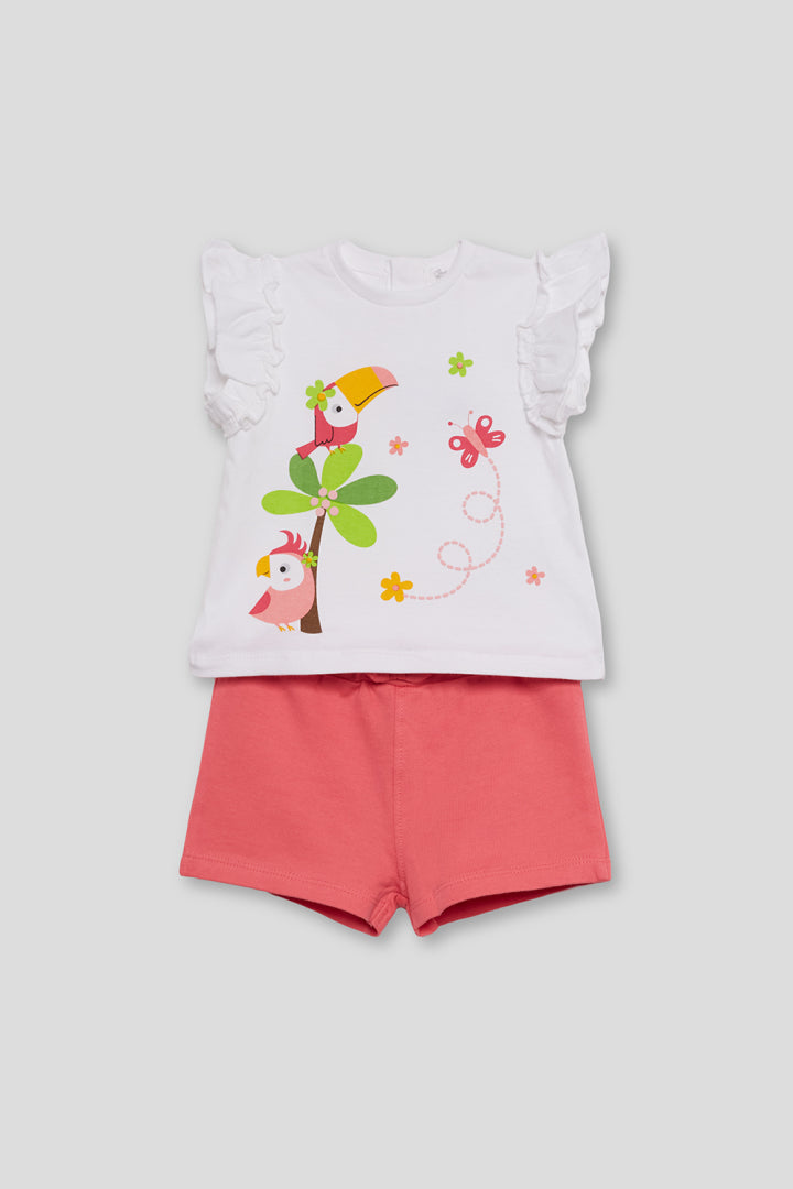 Conjunto Pajaros Mariposa