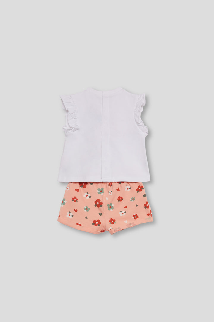 Conjunto Tiger