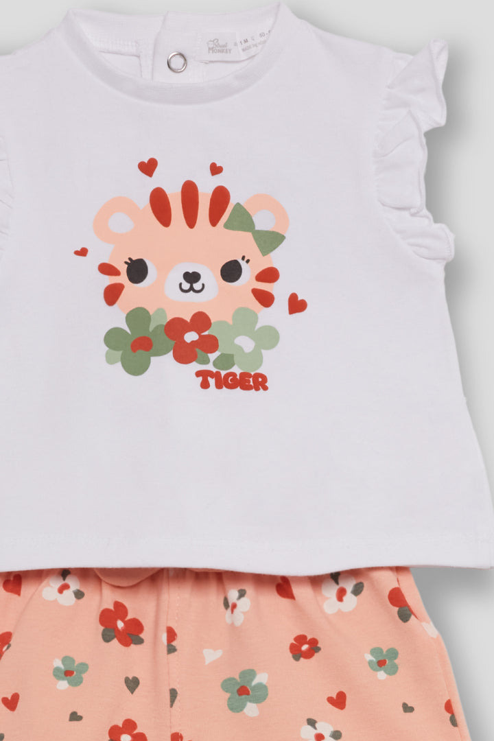 Conjunto Tiger