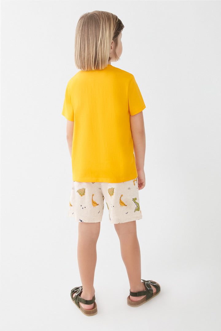 Conjunto Dino Open Car