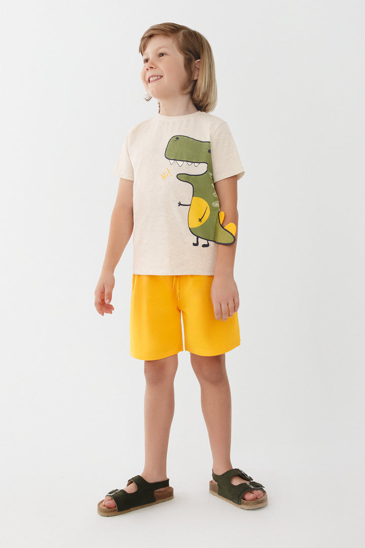 Conjunto Hi Dino