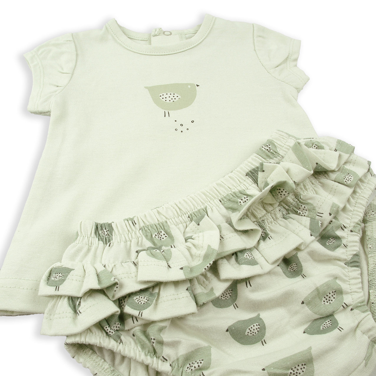 Conjunto Pio Verde