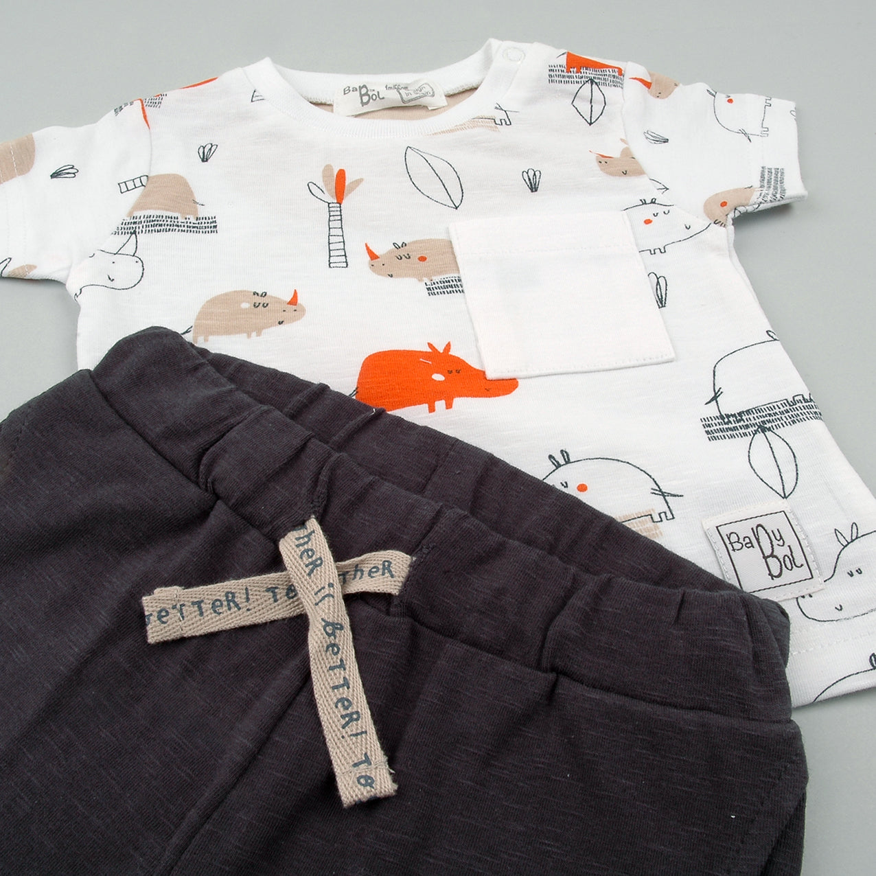 Conjunto Palmera Rino