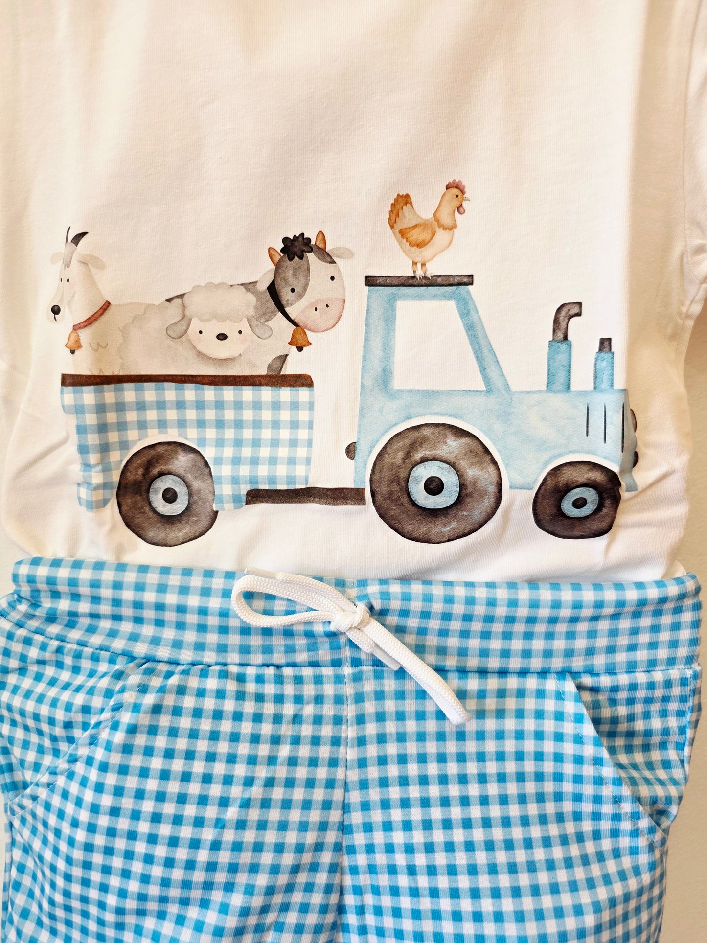 Conjunto Pequeño Granjero Azul