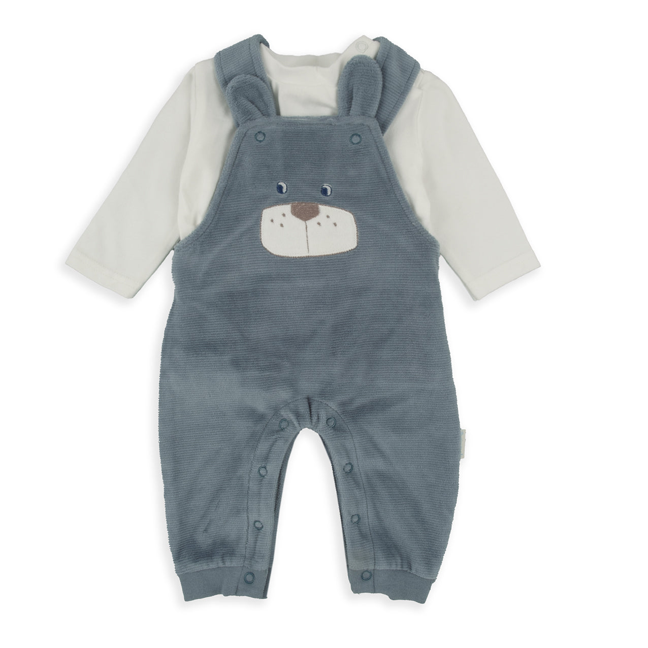 Conjunto Peto Oso