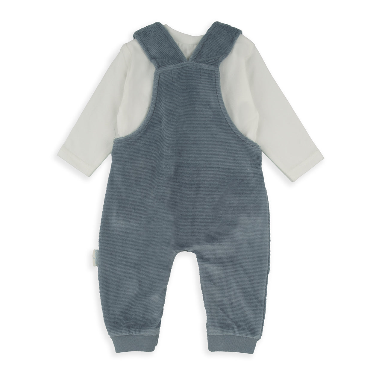 Conjunto Peto Oso
