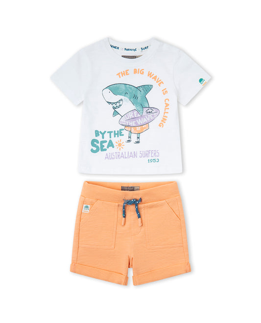 Conjunto Tiburon Surfero