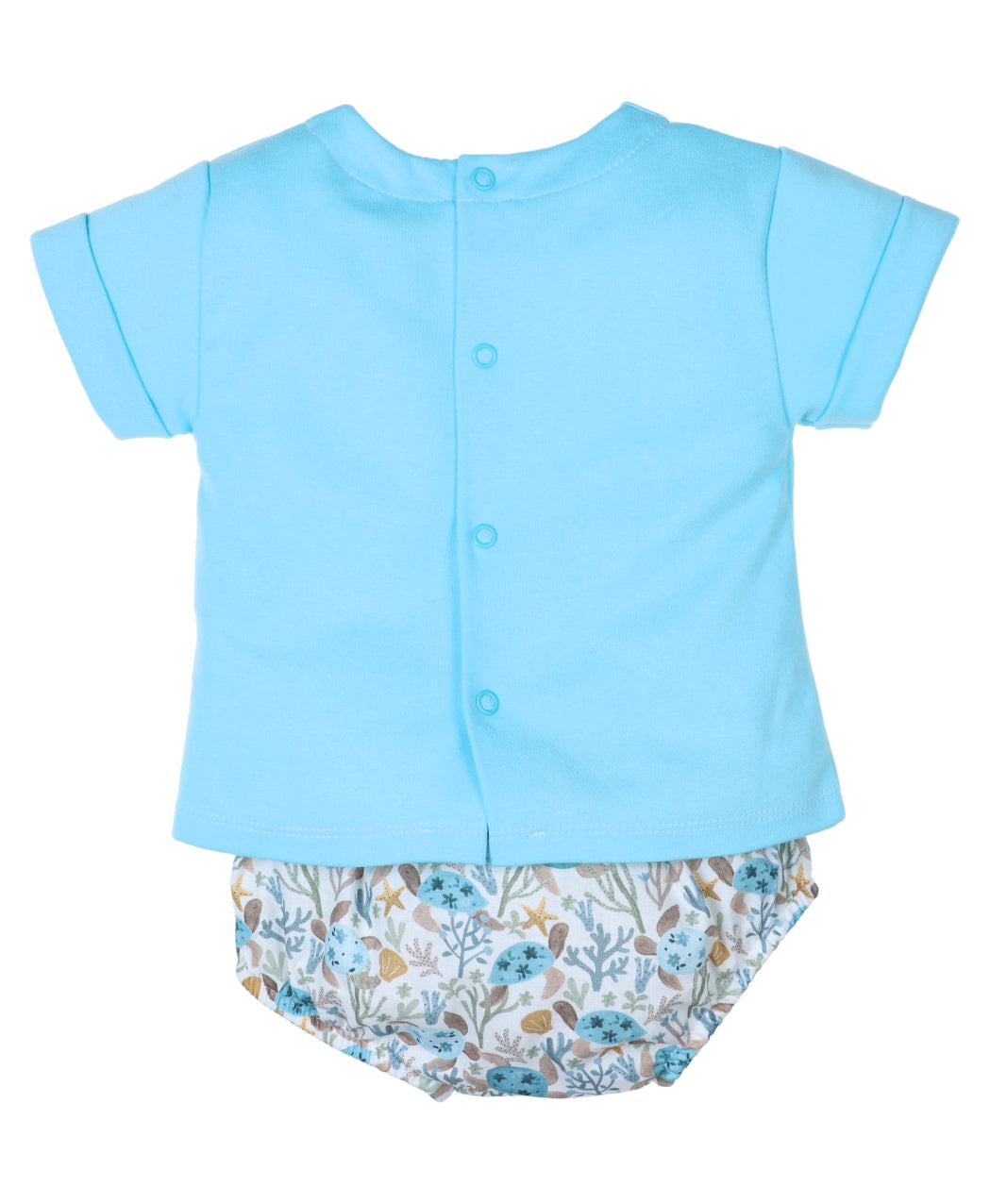 Conjunto Niño Arrecife