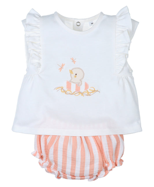 Conjunto Libelula Pio