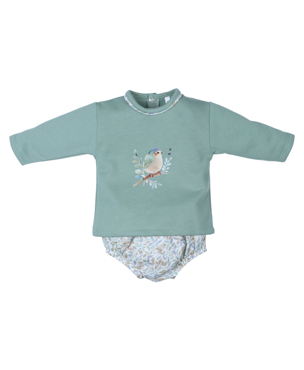 Conjunto Pololo Pio