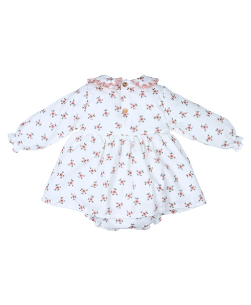 Jesusito Rosa Antigua