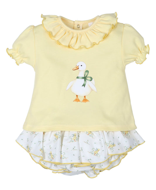 Conjunto Pato Ilustrado