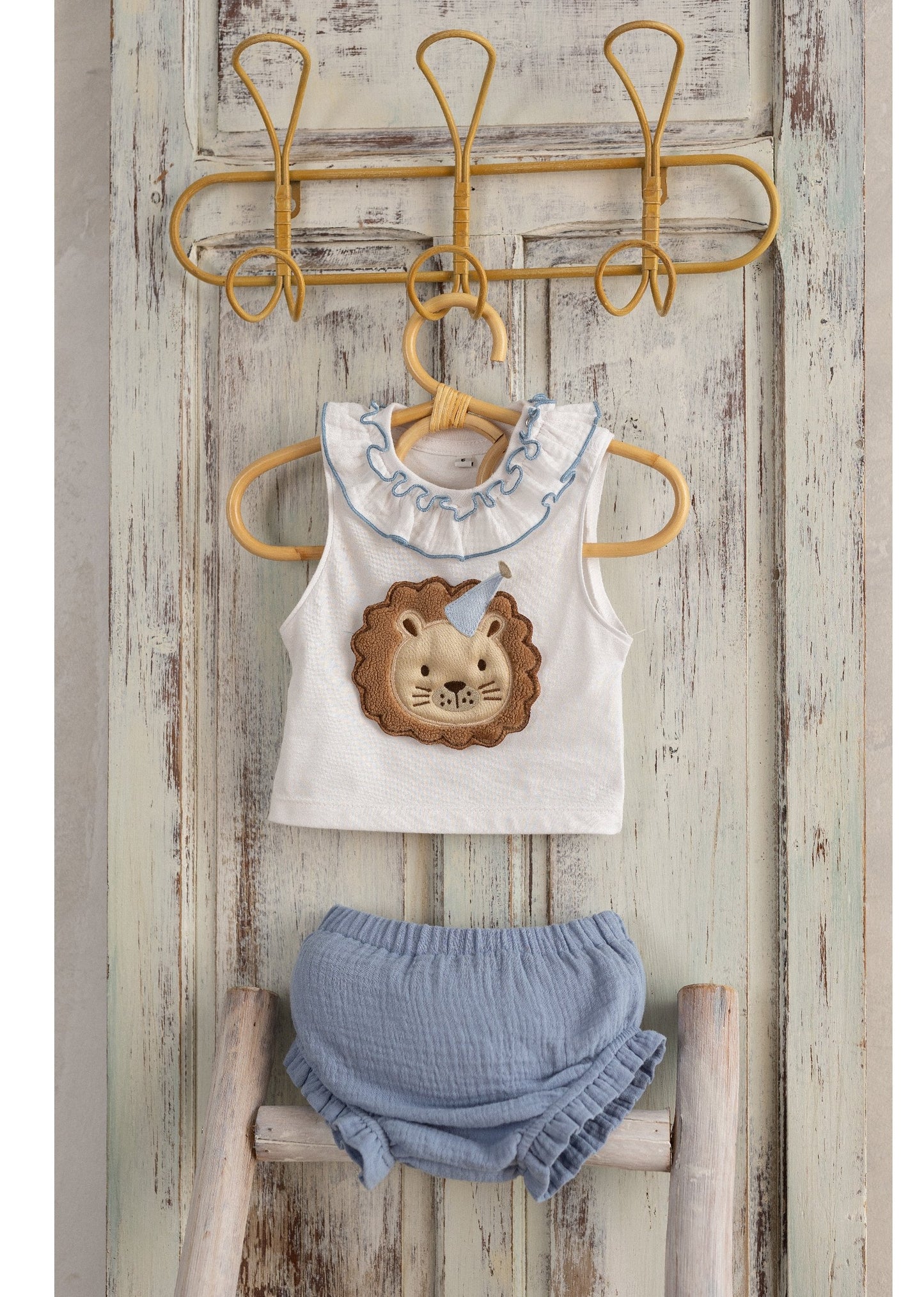 Conjunto Violeta Chamorro