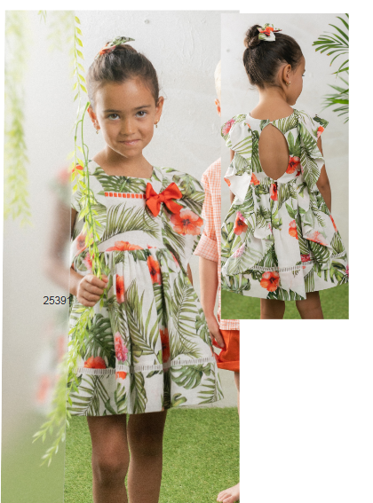 Vestido Rosa Luxemburgo