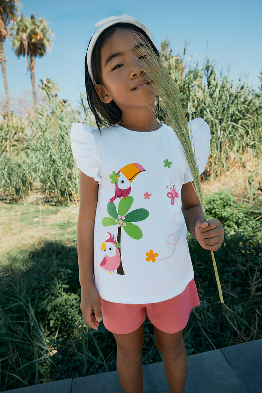 Conjunto Pajaros Mariposa