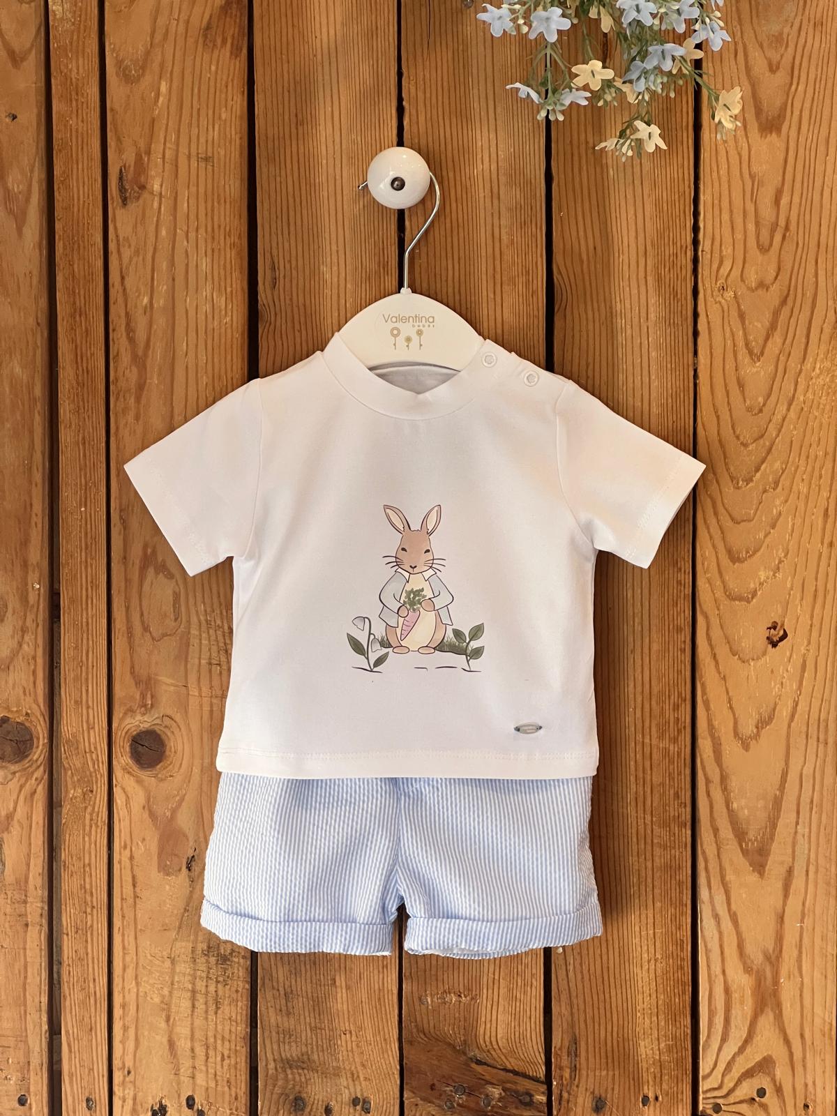 Conjunto Niño Blue Rabbit