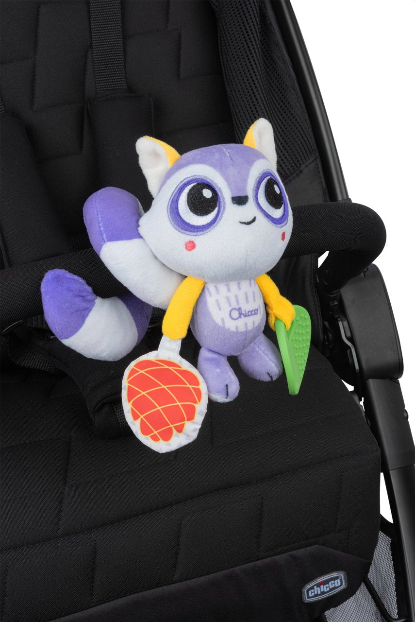 Mapache Para Carrito