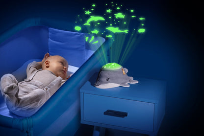 Delfín Buenas Noches