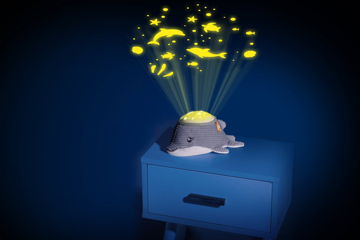Delfín Buenas Noches