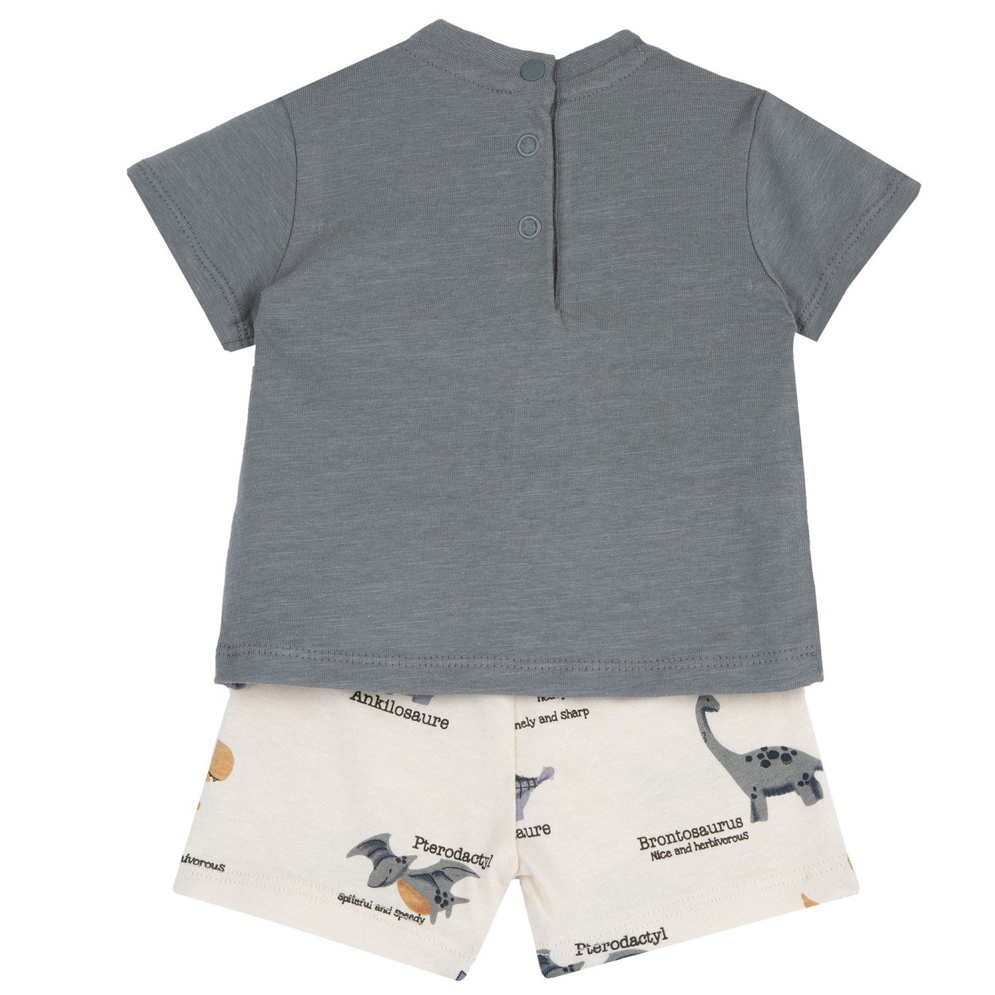 Conjunto Niño Chicco Rex