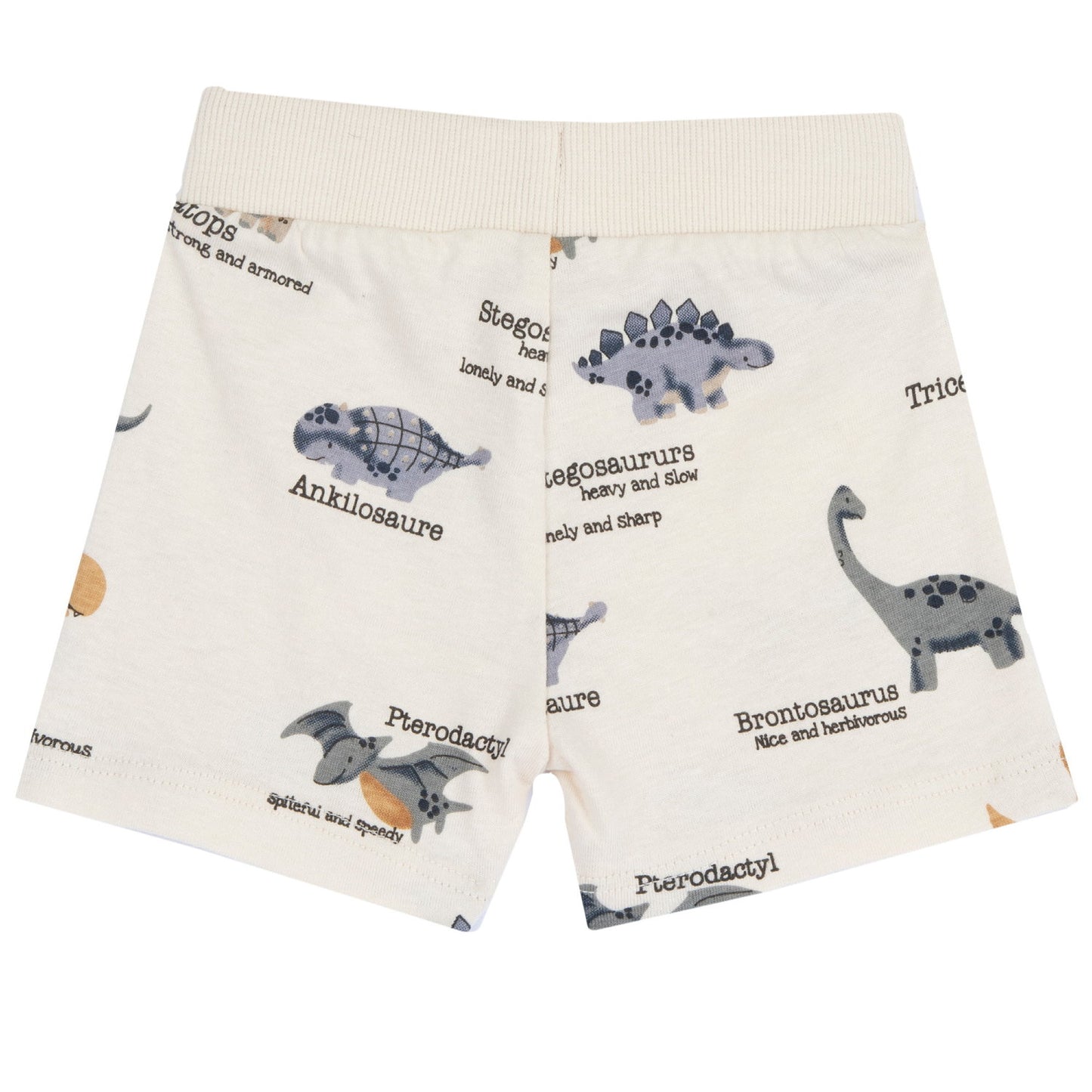 Conjunto Niño Chicco Rex