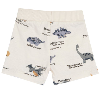 Conjunto Niño Chicco Rex