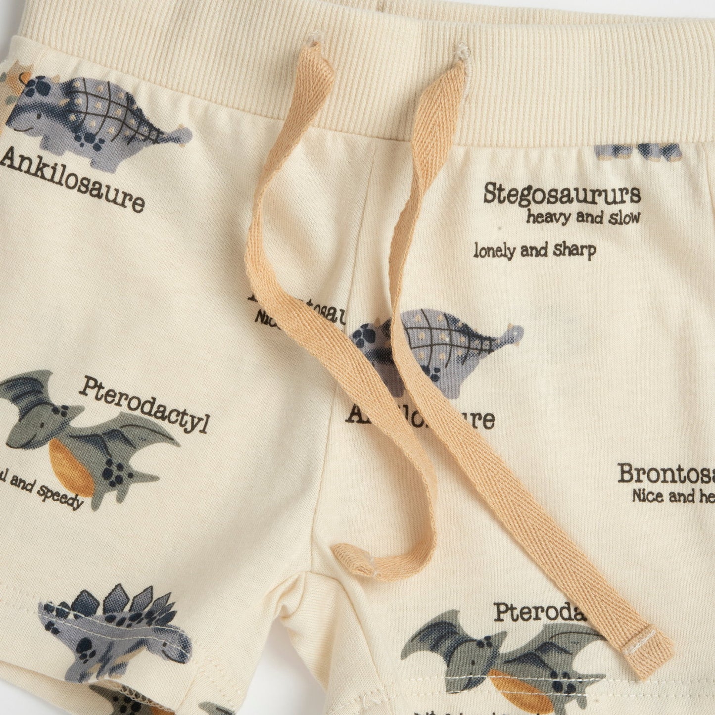 Conjunto Niño Chicco Rex