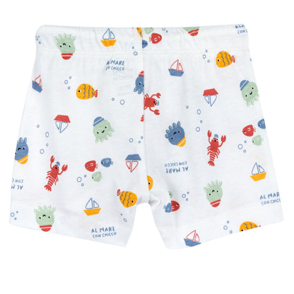 Conjunto Niño Chicco Pulpito