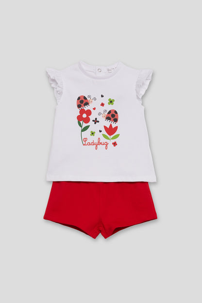 Conjunto Ladybug