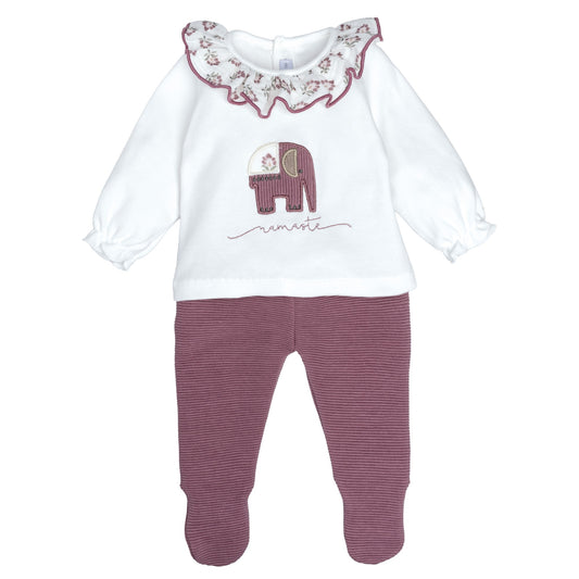 Conjunto Polaina Meira