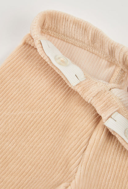 Conjunto Punto Bambis