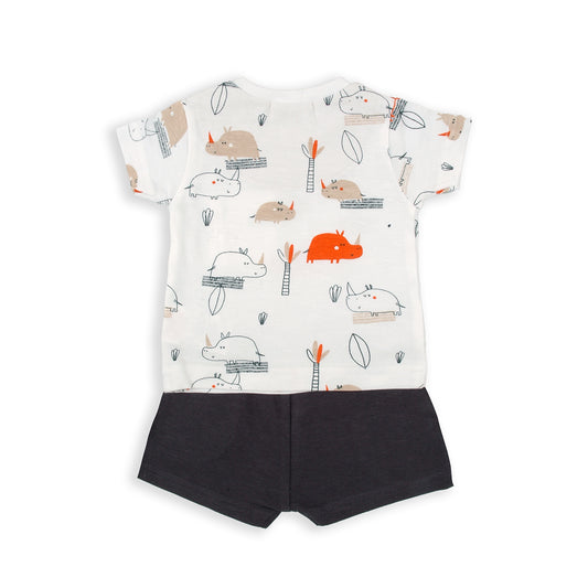 Conjunto Palmera Rino