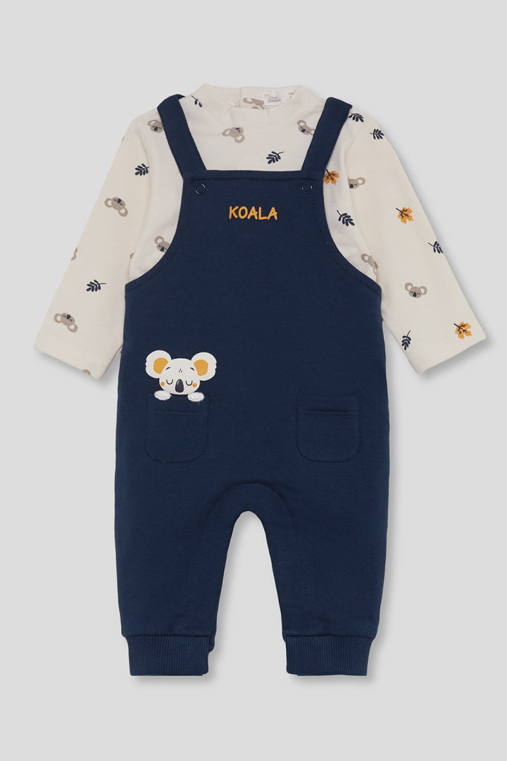 Conjunto Koala