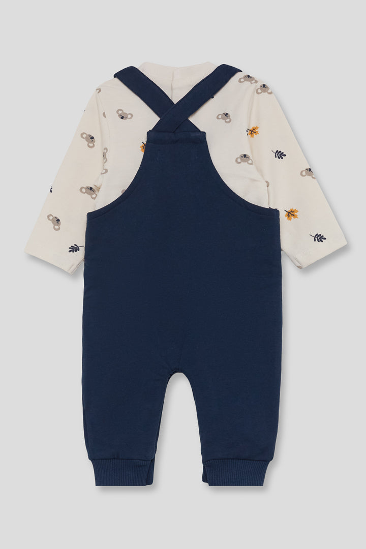 Conjunto Koala