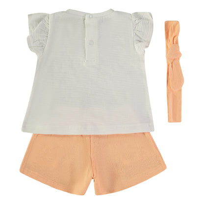 Conjunto Wildlive