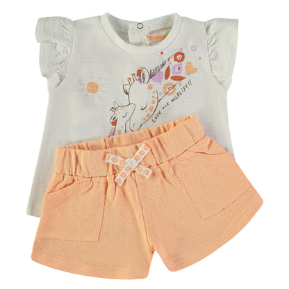 Conjunto Wildlive