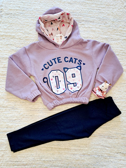 Conjunto Leggins Sudadera Cute Cats