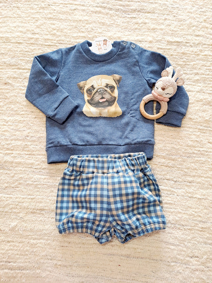 Conjunto Carlino