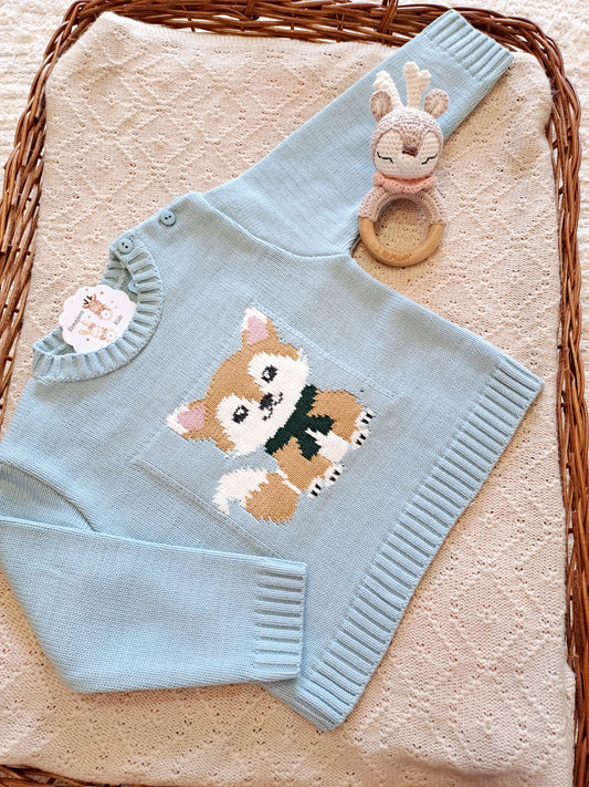 Jersey Zorrito