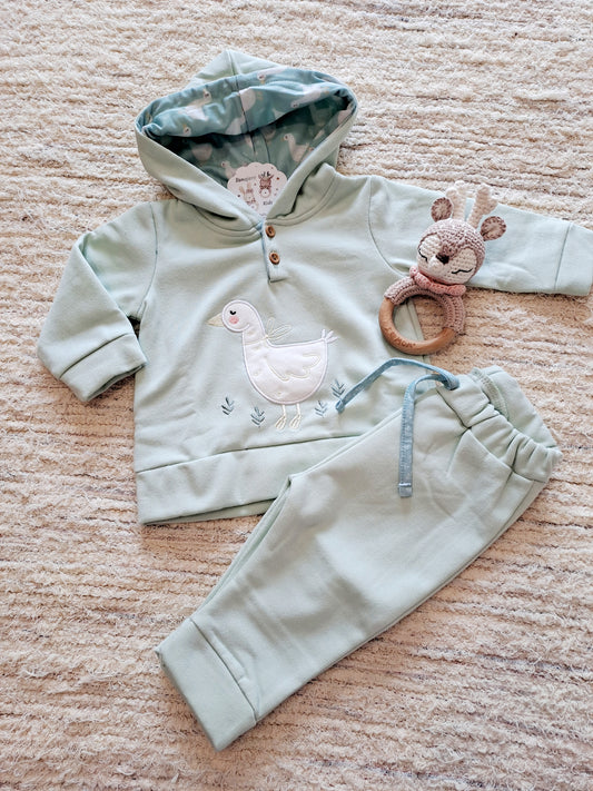 Conjunto Oca Lazo