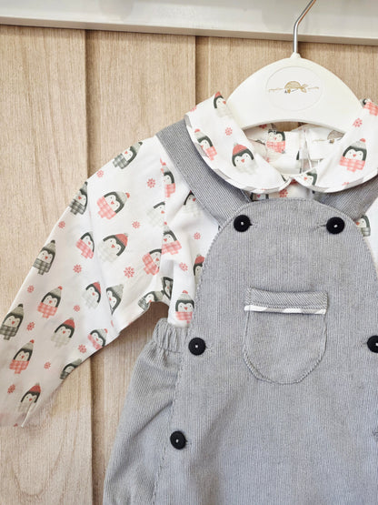 Conjunto Niño Pinguino