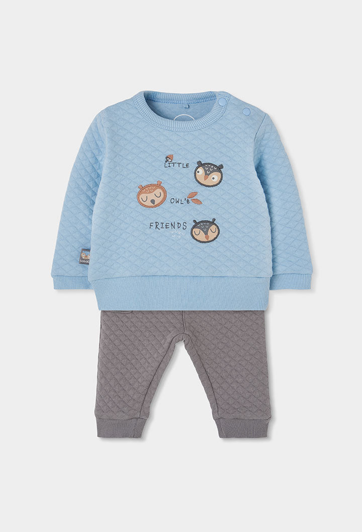 Conjunto Punto Little Owl