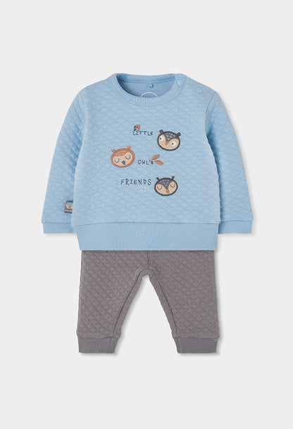 Conjunto Punto Little Owl