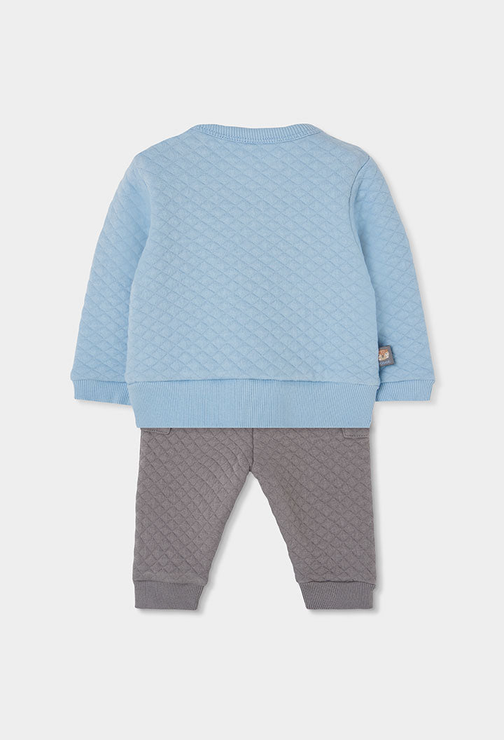 Conjunto Punto Little Owl