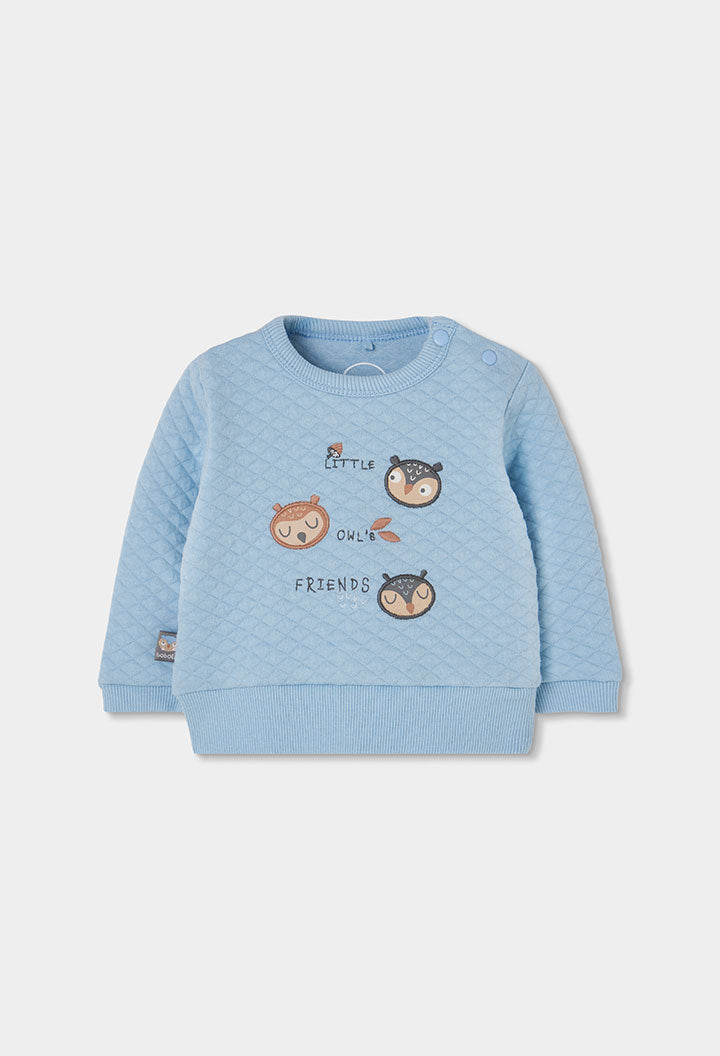 Conjunto Punto Little Owl
