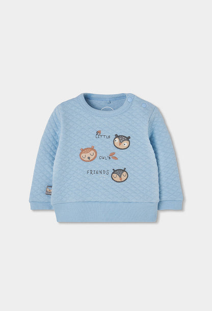 Conjunto Punto Little Owl