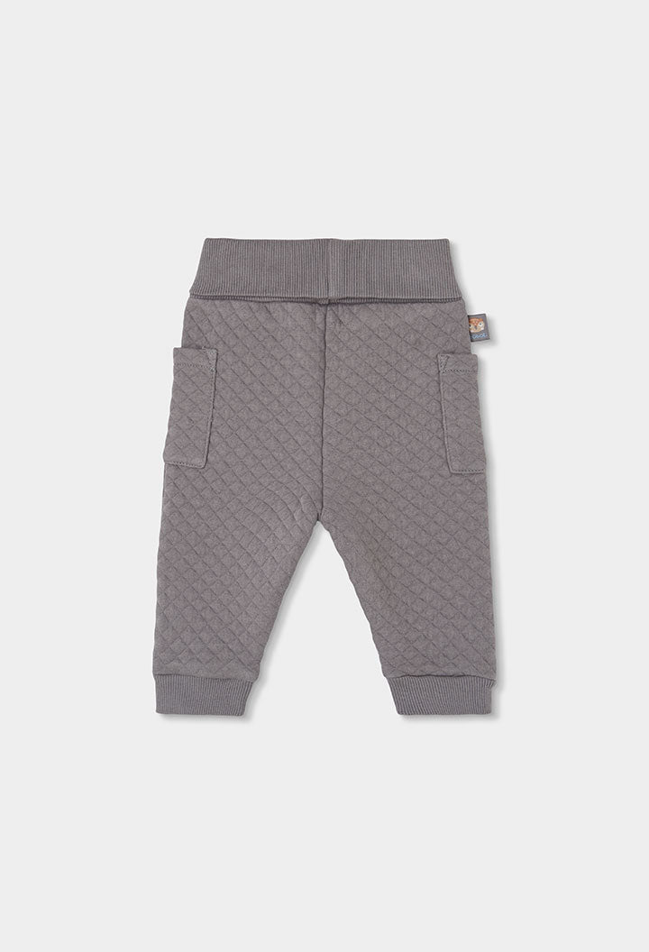 Conjunto Punto Little Owl