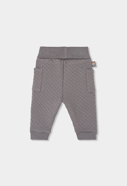 Conjunto Punto Little Owl