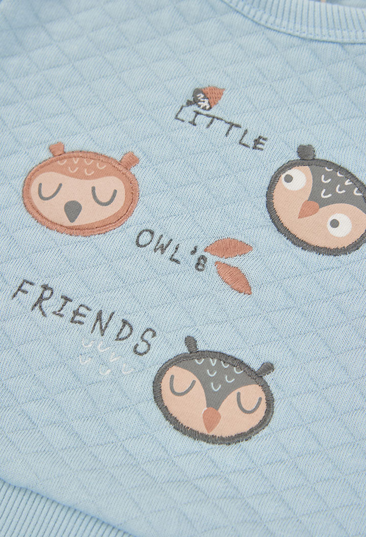 Conjunto Punto Little Owl